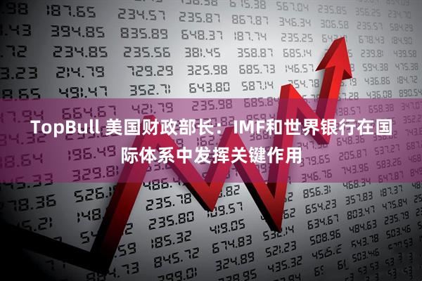 TopBull 美国财政部长：IMF和世界银行在国际体系中发挥关键作用