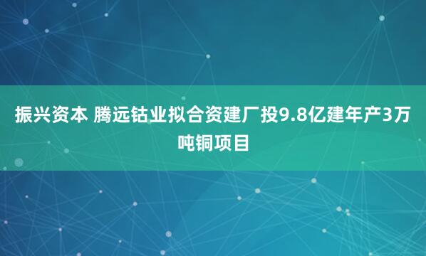 振兴资本 腾远钴业拟合资建厂投9.8亿建年产3万吨铜项目