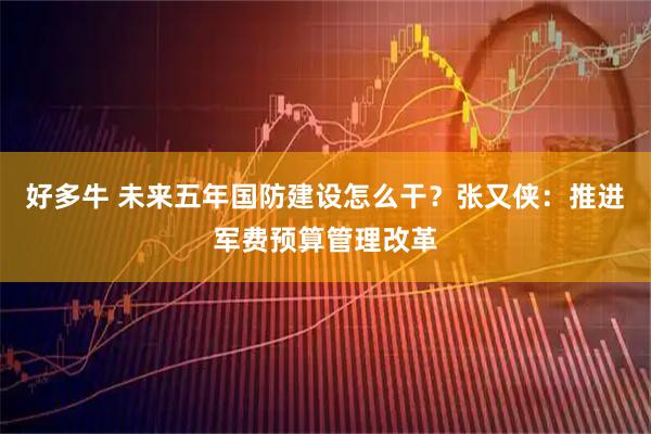 好多牛 未来五年国防建设怎么干？张又侠：推进军费预算管理改革