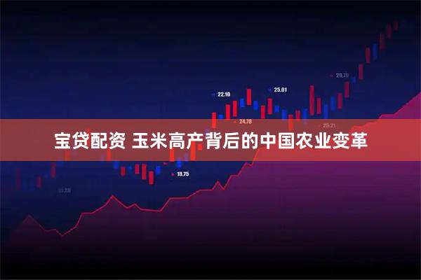 宝贷配资 玉米高产背后的中国农业变革