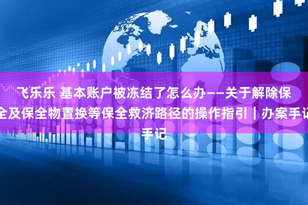飞乐乐 基本账户被冻结了怎么办——关于解除保全及保全物置换等保全救济路径的操作指引｜办案手记